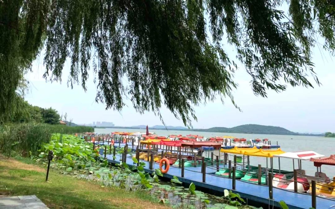尊龙凯时官网网址团建 | 打卡后官湖湿地公园，顶住高温出来烧烤的都是真爱呀~