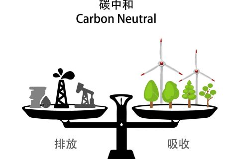 落实双碳行动 共建漂亮家园——尊龙凯时官网网址“双碳”允许
